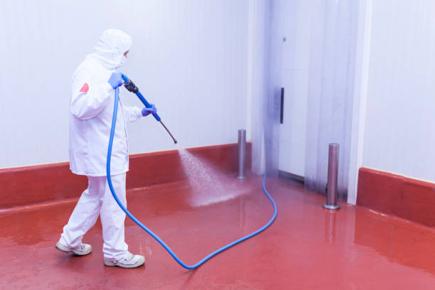 Best Patio and Deck Pressure Washing  in Liberty Triangle, FL